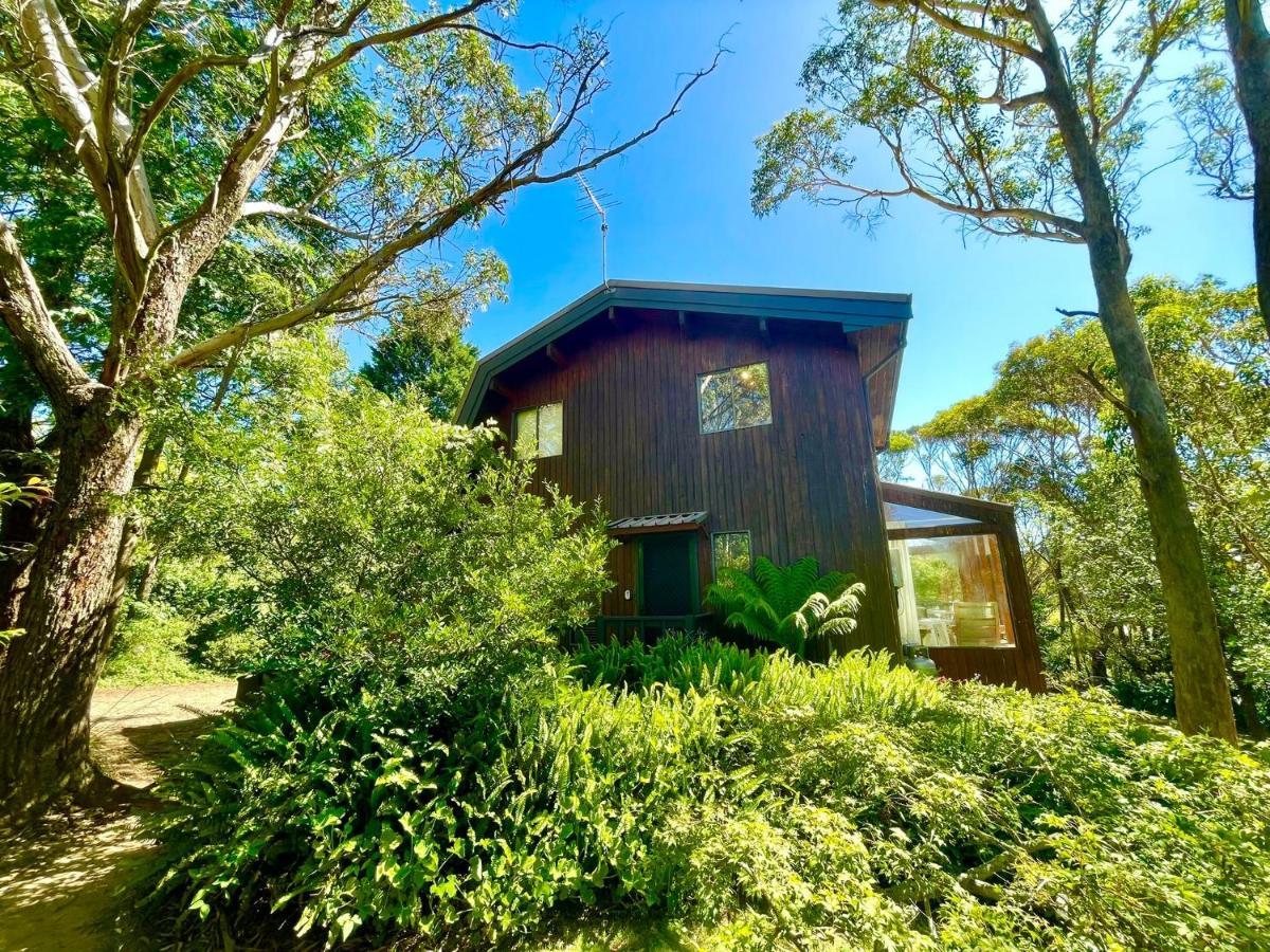 Sublime Cedar Lodge Leura Exteriör bild